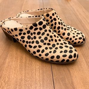 Crown & Ivy Leopard/Cheetah Mules